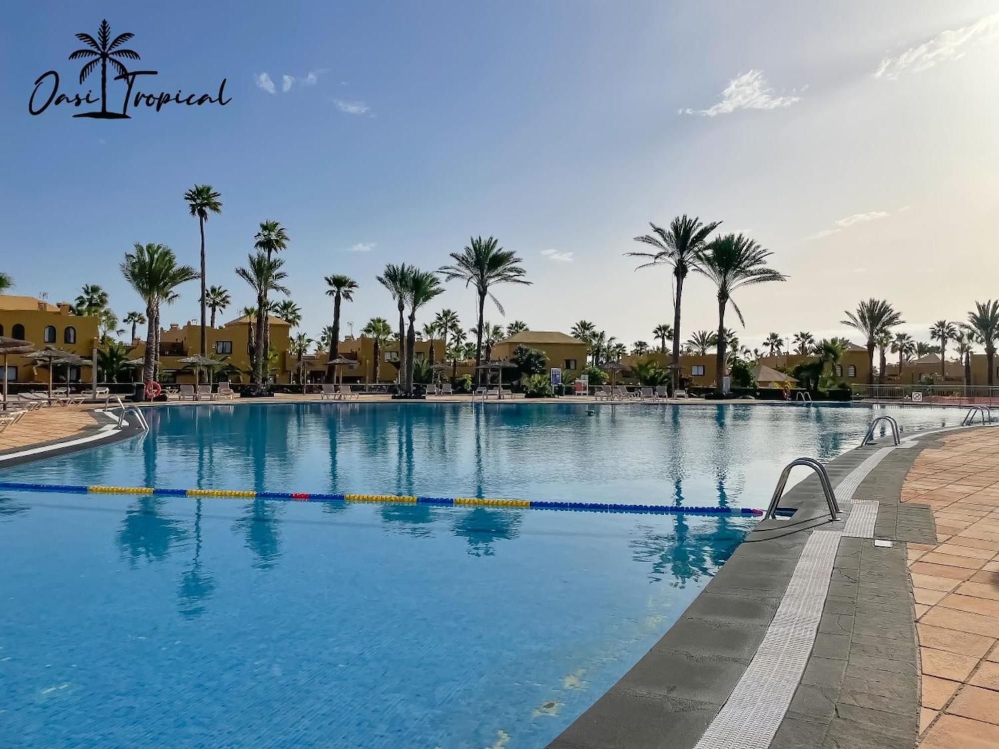 Oasi Tropical Wifi Free By Rentalfue Corralejo Buitenkant foto