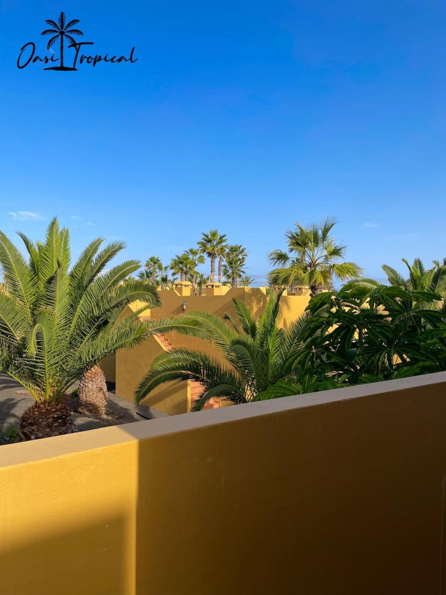 Oasi Tropical Wifi Free By Rentalfue Corralejo Buitenkant foto