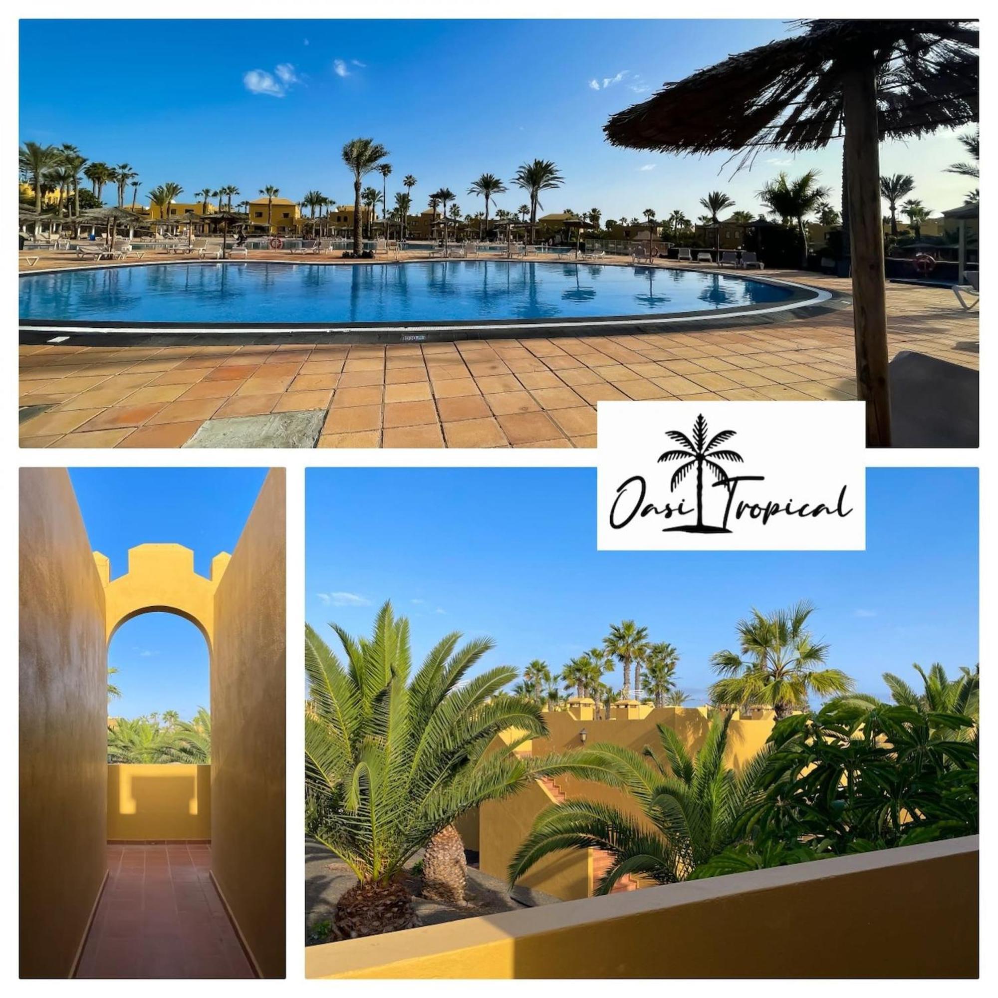 Oasi Tropical Wifi Free By Rentalfue Corralejo Buitenkant foto